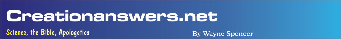 CreationAnswers.Net