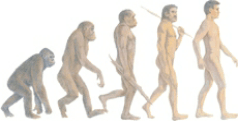 nonevolutionfman.gif
